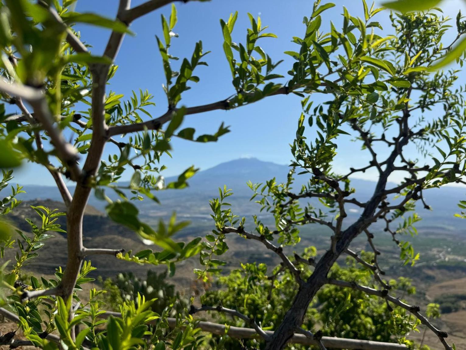 Casetta Girasole Centuripe Dış mekan fotoğraf