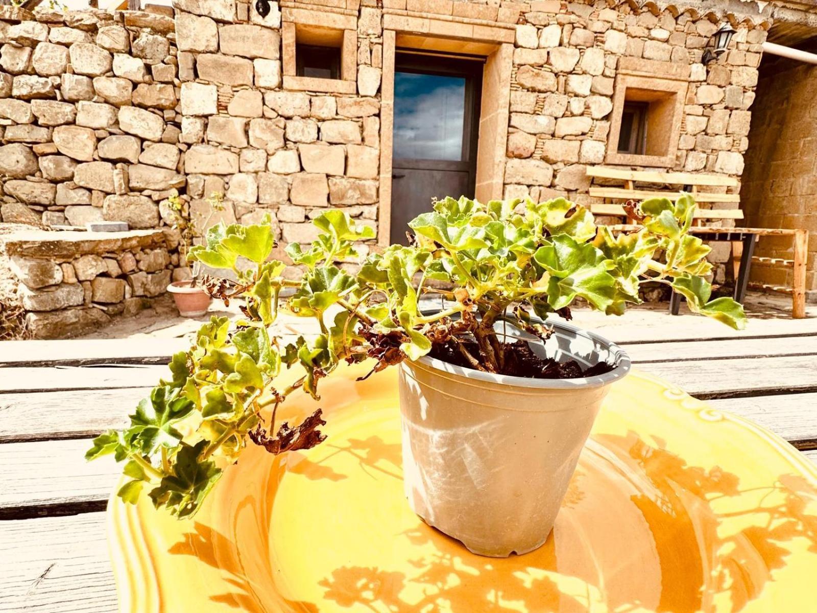 Casetta Girasole Centuripe Dış mekan fotoğraf